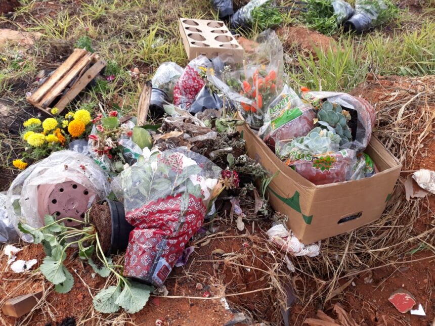 Polícia Municipal flagra morador descartando lixo em local proibido