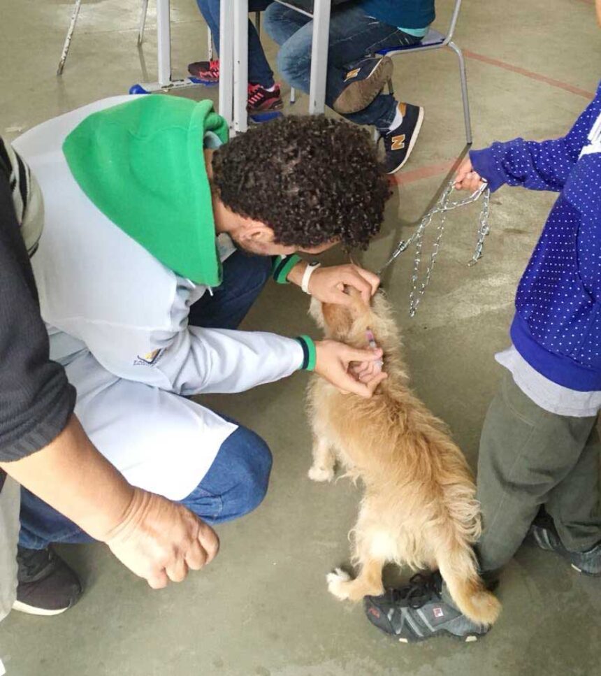 Vacinação contra raiva tem boa adesão no município