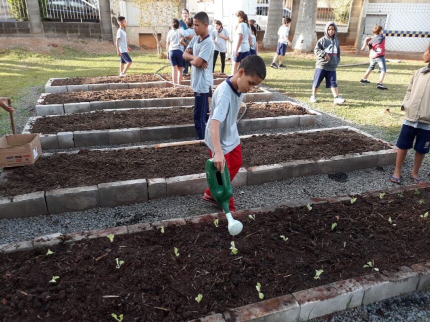 Secretaria de Educação dá início a Projeto de Cidadania no CIEF
