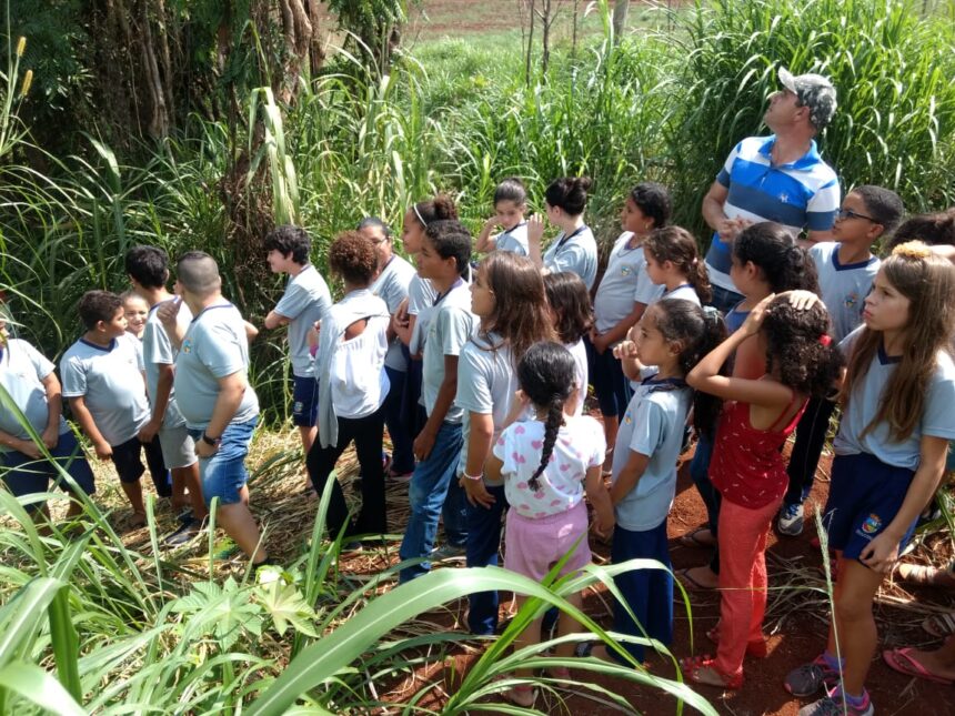 Semana do Meio Ambiente tem início na segunda-feira, dia 3