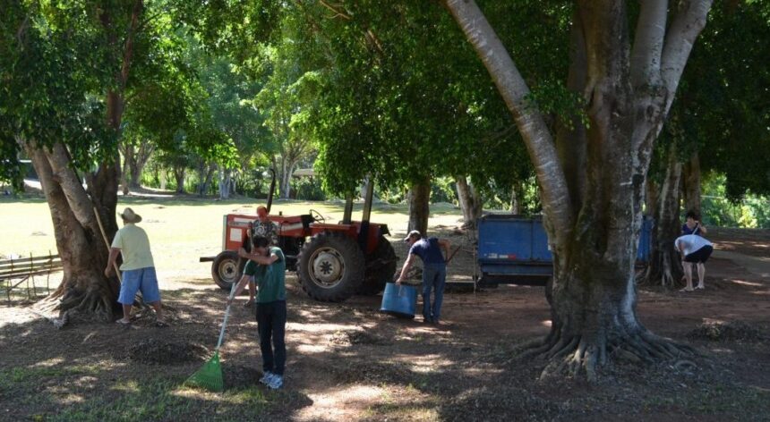Mutirão agita manhã de sábado no Portal das Pérolas