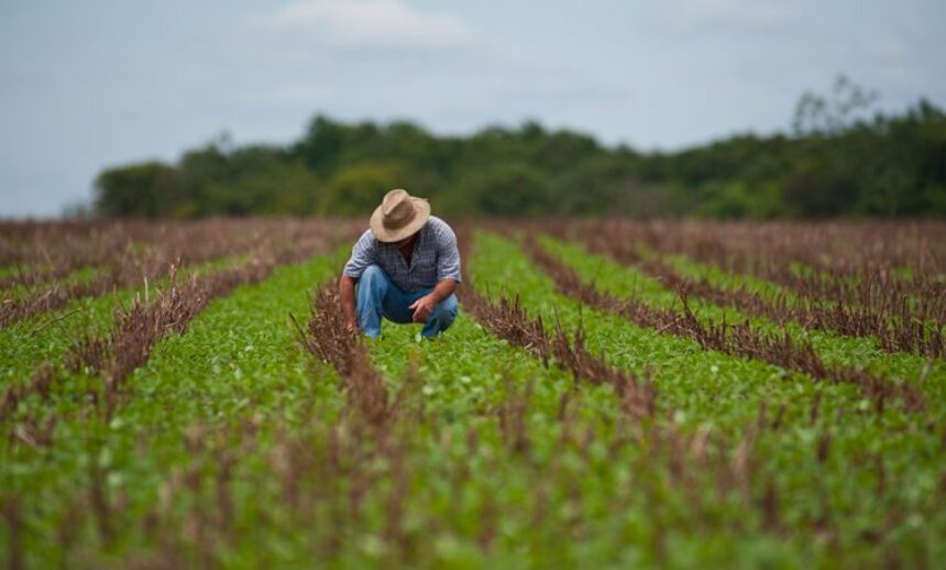 Agricultura do município é discutida em 2º Encontro de Produtores Rurais
