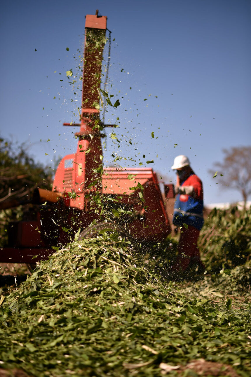 Prefeitura orienta munícipes sobre descarte de lixo vegetal e entulhos