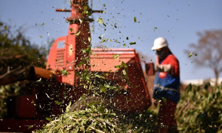 Prefeitura orienta munícipes sobre descarte de lixo vegetal e entulhos