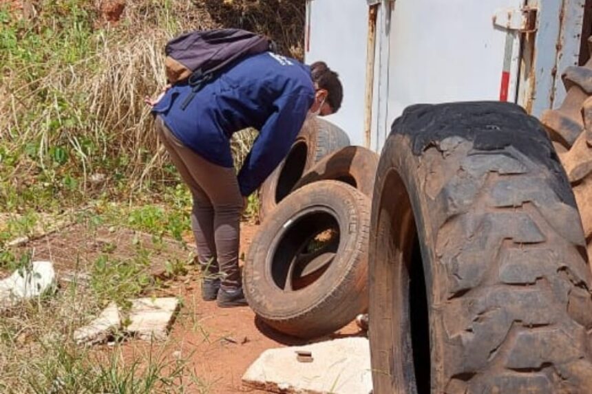 Semana de combate ao mosquito da Dengue