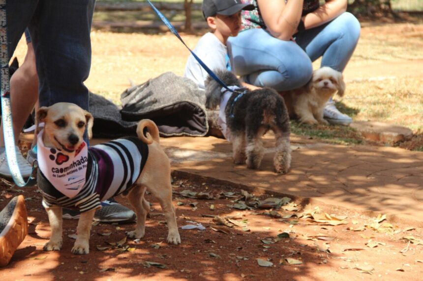 6ª Cãominhada reúne mais de 90 PETs