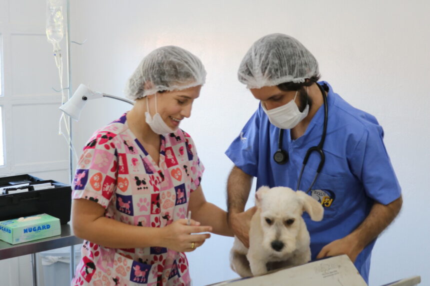 Santo Antônio de Posse atinge marca de 299 cães e gatos castrados