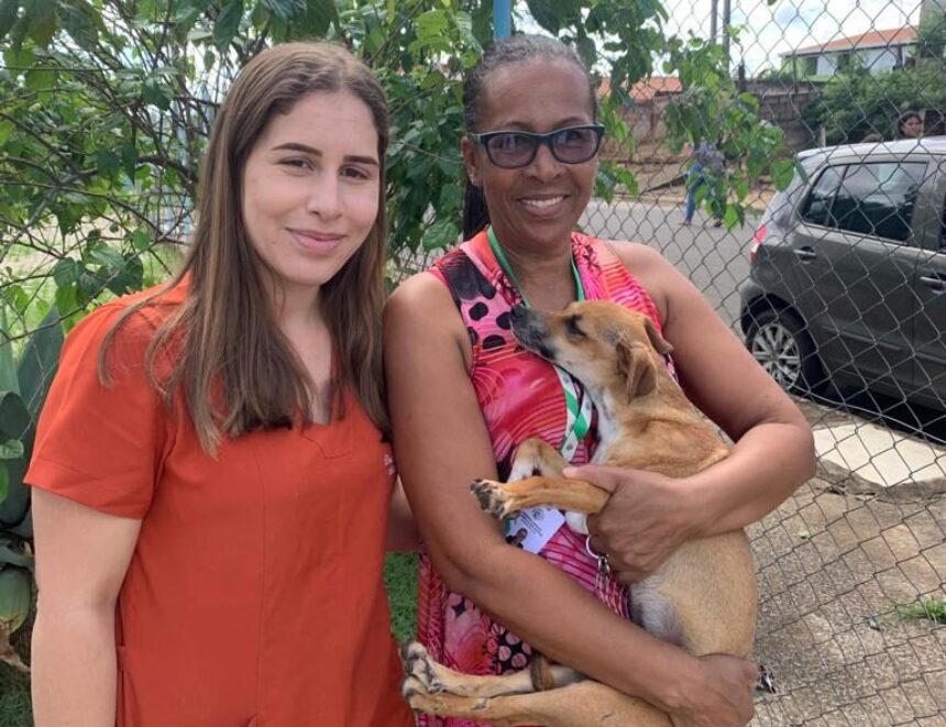 Cadela atropelada recebe cuidados e ganha novo lar