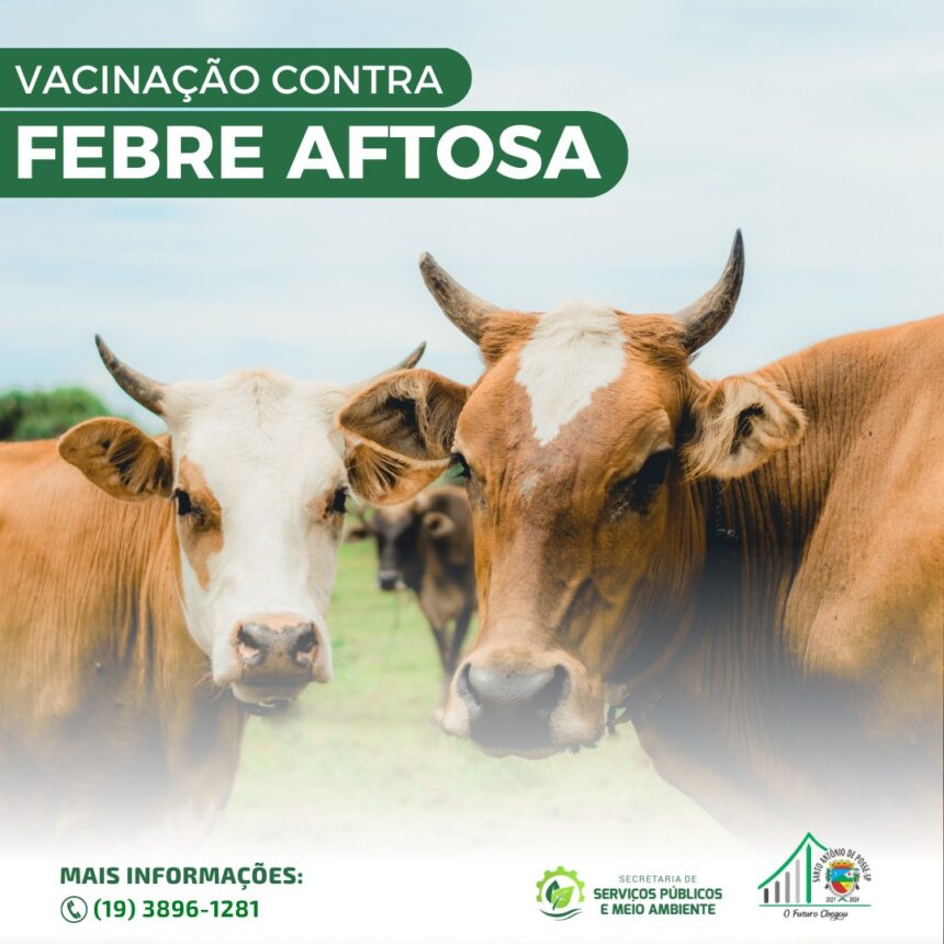 Campanha de vacinação contra Febre Aftosa