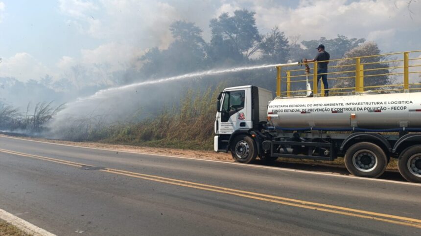 GCM controla incêndio em área verde na SP 107