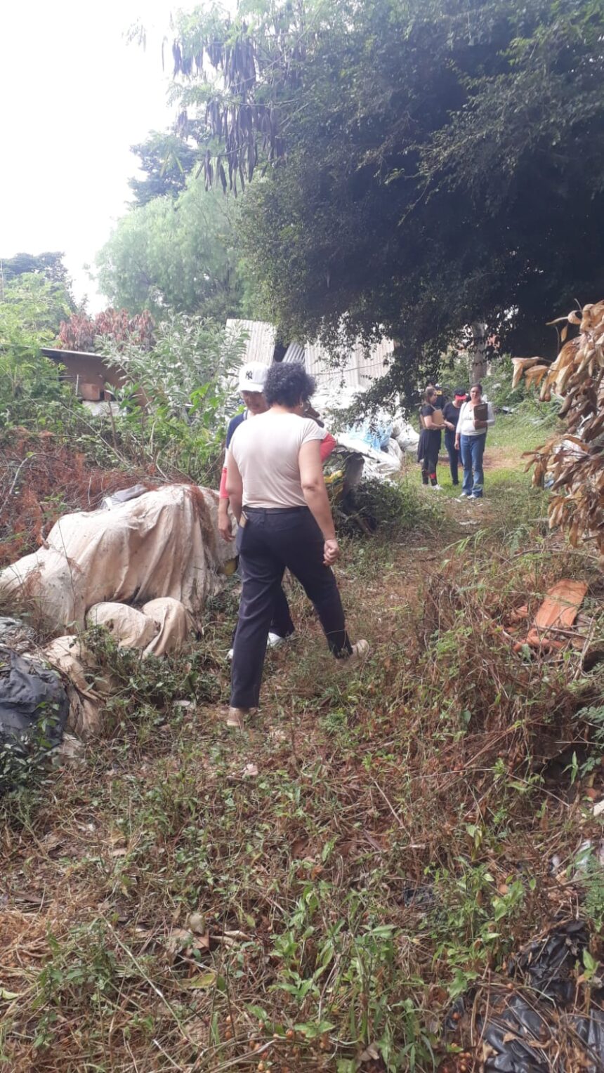 Mutirão de combate à dengue vistoria 299 imóveis