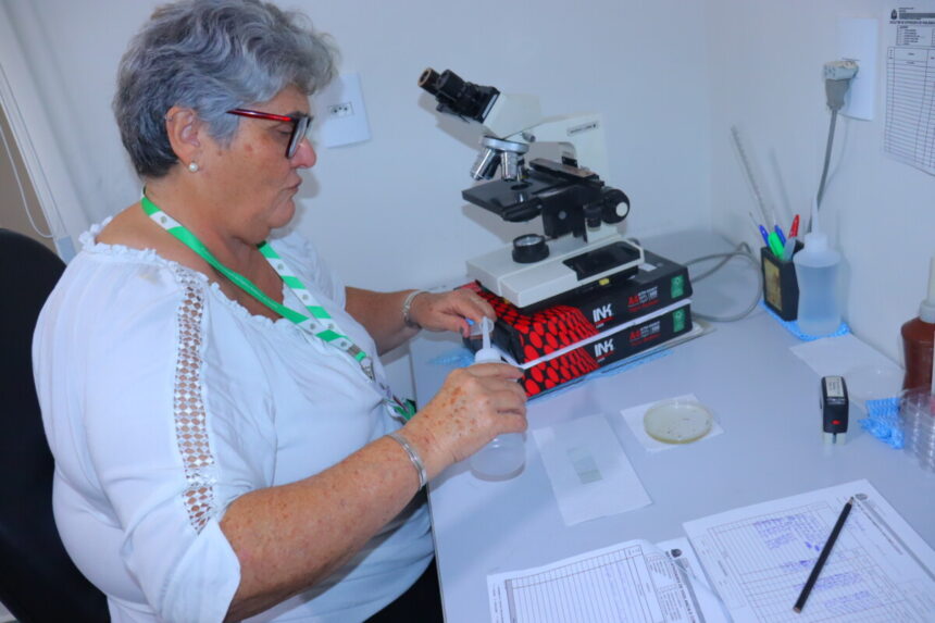 Posse é referência regional no combate ao Aedes aegypti com método pioneiro de análise laboratorial